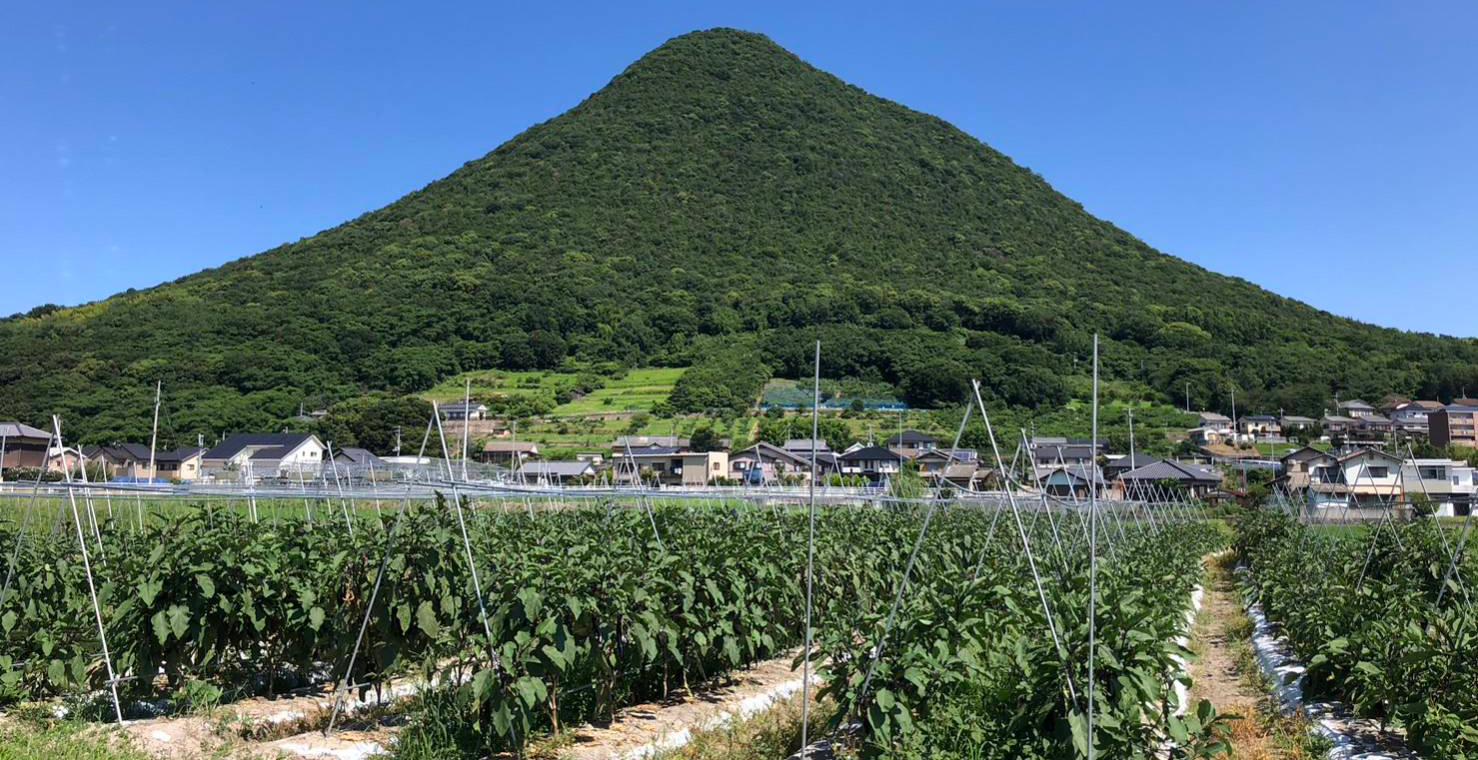 メイン画像